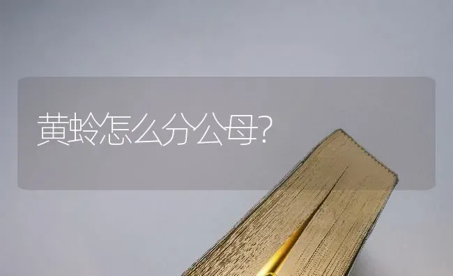 黄蛉怎么分公母？ | 动物养殖问答