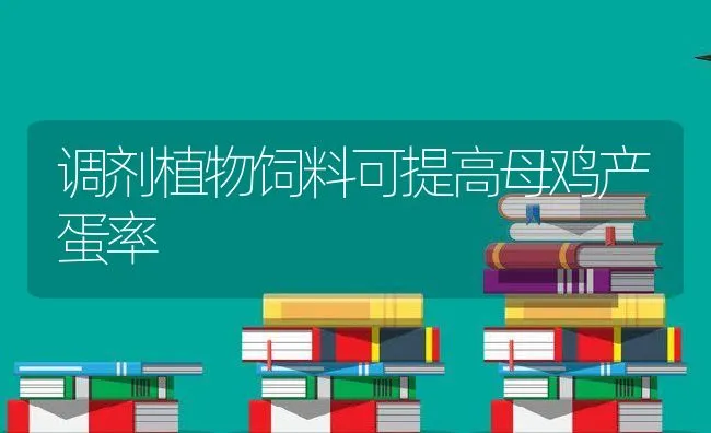 海鲜酒楼海鲜喂养的基本知识 | 海水养殖技术