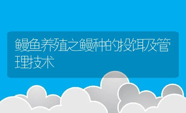 鳗鱼养殖之鳗种的投饵及管理技术 | 动物养殖饲料