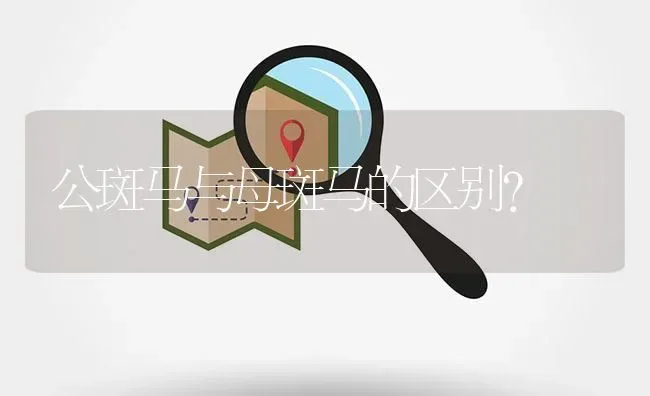 公斑马与母斑马的区别？ | 鱼类宠物饲养