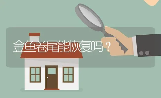 金鱼卷尾能恢复吗？ | 鱼类宠物饲养