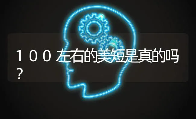 100左右的美短是真的吗？ | 动物养殖问答