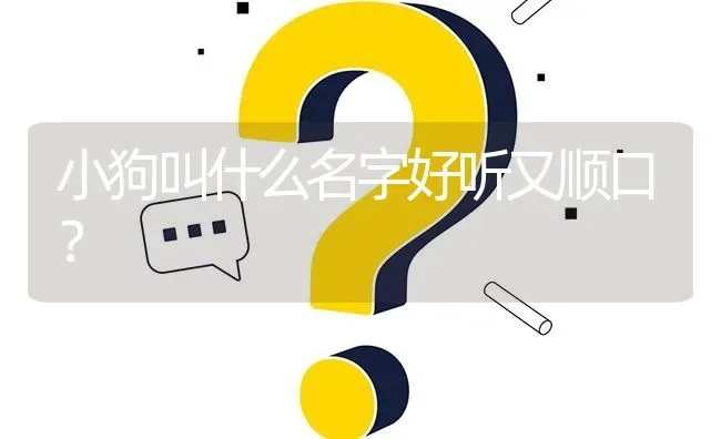 小狗叫什么名字好听又顺口？ | 动物养殖问答