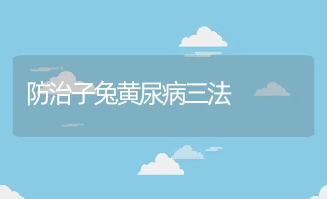 防治子兔黄尿病三法 | 水产养殖知识