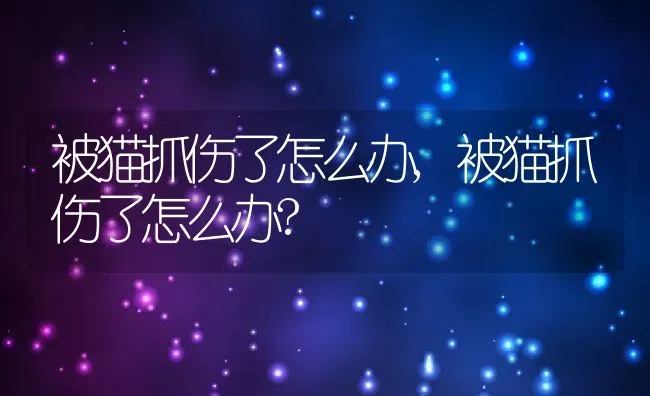 被猫抓伤了怎么办,被猫抓伤了怎么办? | 宠物百科知识