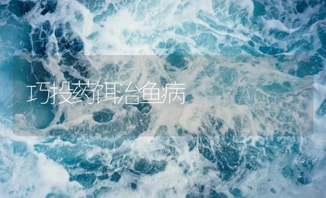 巧投药饵治鱼病 | 海水养殖技术