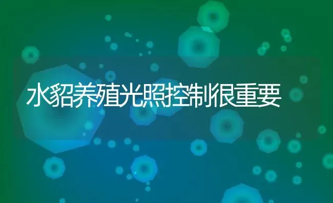 水貂养殖光照控制很重要 | 动物养殖教程