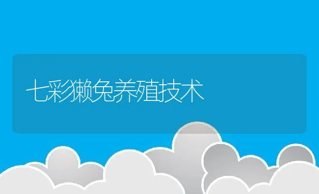 七彩獭兔养殖技术 | 动物养殖饲料