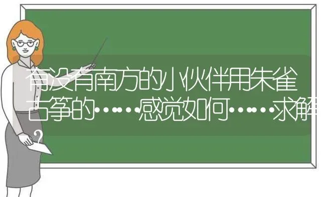 有没有南方的小伙伴用朱雀古筝的……感觉如何……求解？ | 动物养殖问答