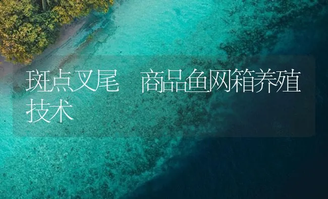 斑点叉尾鮰商品鱼网箱养殖技术 | 海水养殖技术