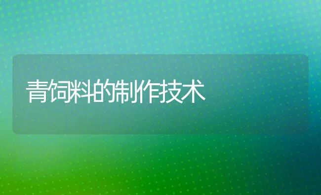 青饲料的制作技术 | 动物养殖饲料