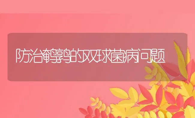 防治鹌鹑的双球菌病问题 | 水产养殖知识