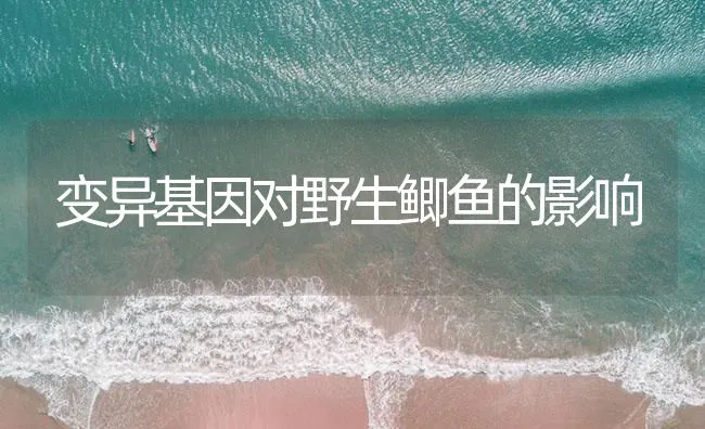 变异基因对野生鲫鱼的影响 | 海水养殖技术