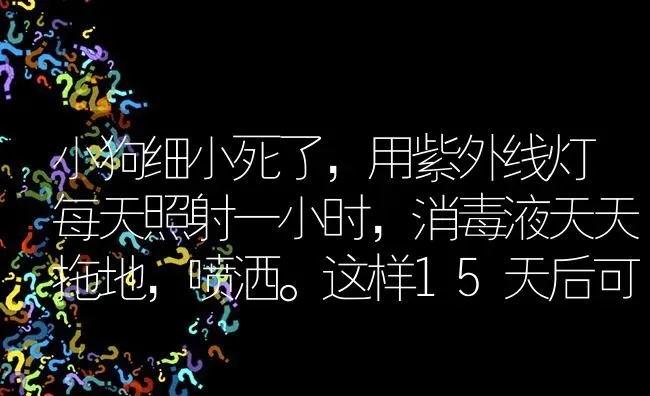 小狗细小死了，用紫外线灯每天照射一小时，消毒液天天拖地，喷洒。这样15天后可以再养吗？ | 动物养殖问答