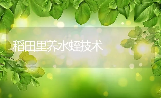 夏季牧草管理技术意见 | 动物养殖学堂