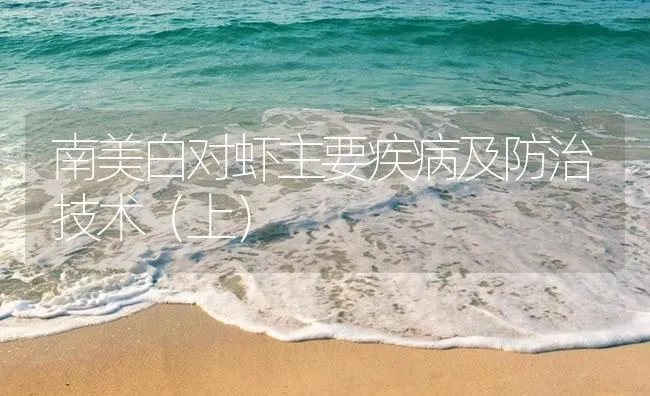 南美白对虾主要疾病及防治技术（上） | 海水养殖技术