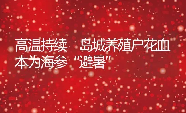 高温持续 岛城养殖户花血本为海参“避暑” | 动物养殖教程