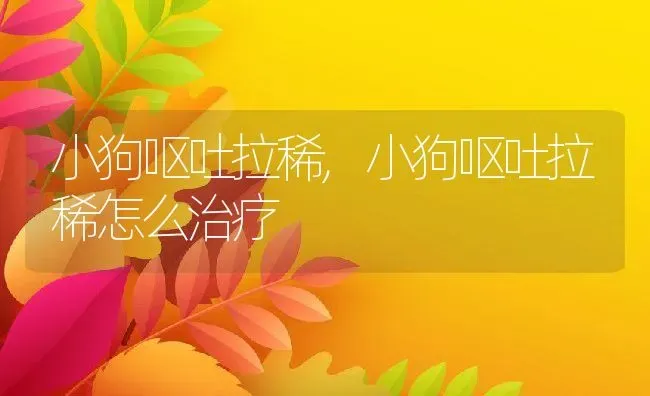 小狗呕吐拉稀,小狗呕吐拉稀怎么治疗 | 宠物百科知识