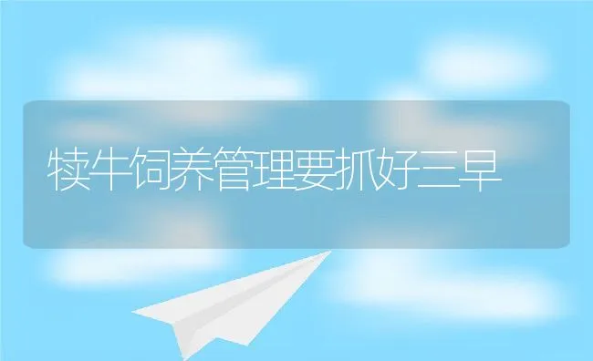 犊牛饲养管理要抓好三早 | 动物养殖学堂