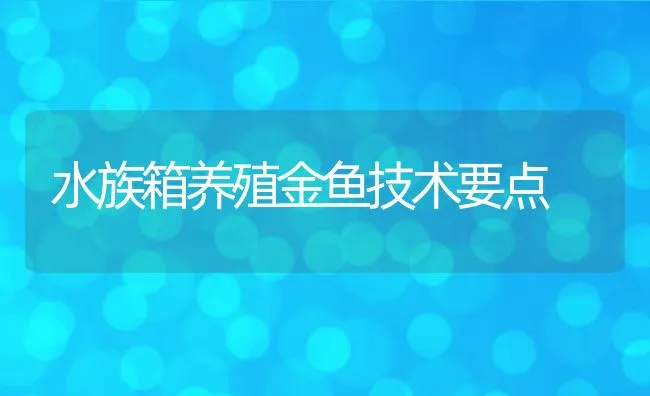 淡水牛蛙腹水病的防治技术 | 水产养殖知识