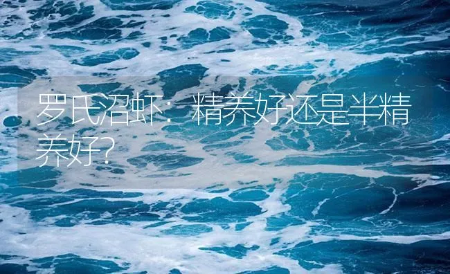 罗氏沼虾：精养好还是半精养好？ | 海水养殖技术