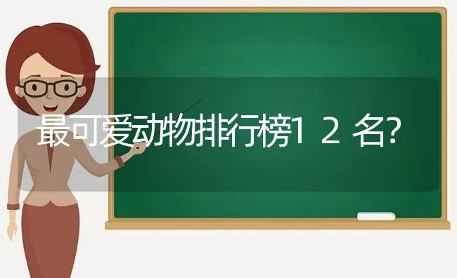 最可爱动物排行榜12名？ | 动物养殖问答