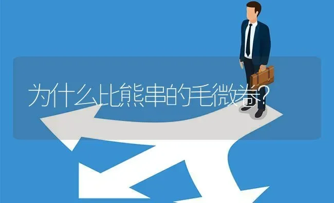 为什么比熊串的毛微卷？ | 动物养殖问答