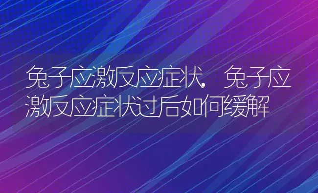 兔子应激反应症状,兔子应激反应症状过后如何缓解 | 宠物百科知识