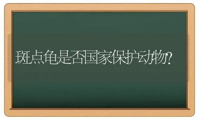 斑点龟是否国家保护动物？ | 动物养殖问答