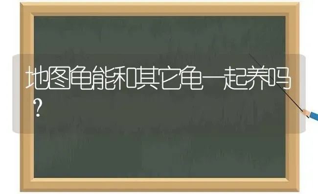 地图龟能和其它龟一起养吗？ | 动物养殖问答