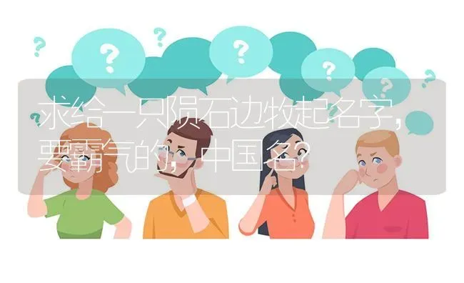 20斤的拉布拉多一天吃多少狗粮？ | 动物养殖问答