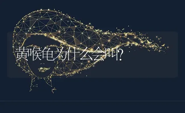 黄喉龟为什么会叫？ | 动物养殖问答