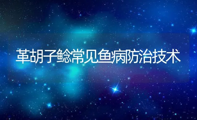 革胡子鲶常见鱼病防治技术 | 水产养殖知识