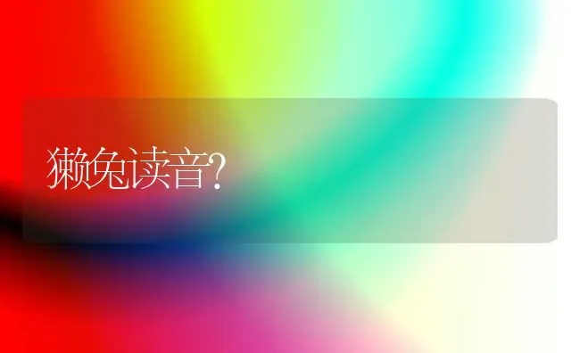 乌龟睡觉的样子是什么样？ | 动物养殖问答