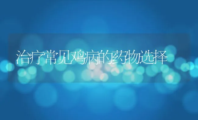 治疗常见鸡病的药物选择 | 动物养殖学堂