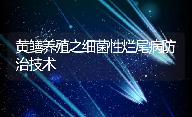 黄鳝养殖之细菌性烂尾病防治技术 | 动物养殖学堂