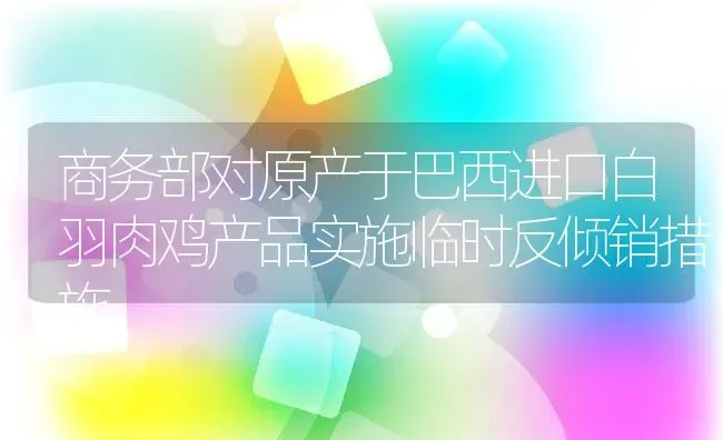 商务部对原产于巴西进口白羽肉鸡产品实施临时反倾销措施 | 动物养殖百科