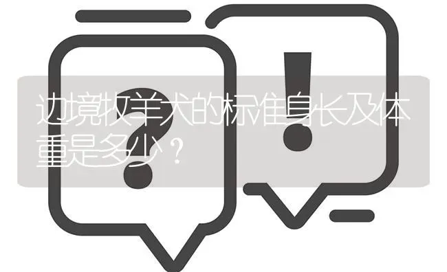 边境牧羊犬的标准身长及体重是多少？ | 动物养殖问答