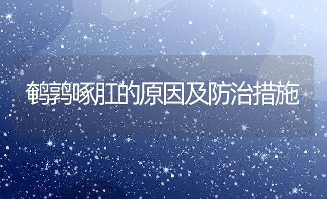 近期冷空气将反复来袭海参养殖户防冻有妙招 | 海水养殖技术