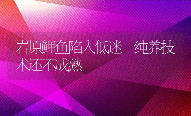 岩原鲤鱼陷入低迷 纯养技术还不成熟 | 动物养殖饲料