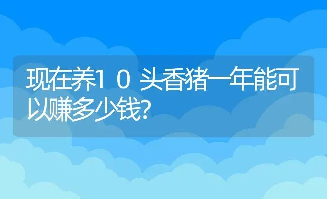 现在养10头香猪一年能可以赚多少钱？ | 动物养殖百科