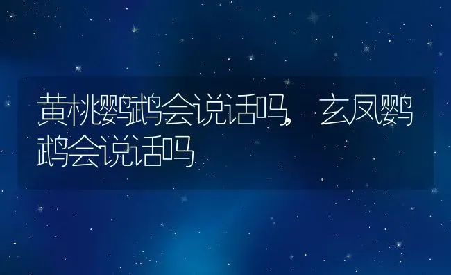 黄桃鹦鹉会说话吗,玄凤鹦鹉会说话吗 | 宠物百科知识