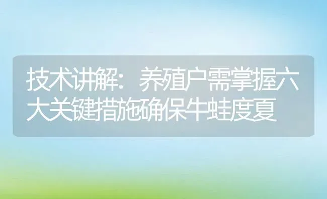 技术讲解:养殖户需掌握六大关键措施确保牛蛙度夏 | 动物养殖百科