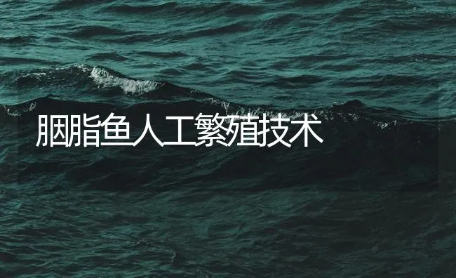 胭脂鱼人工繁殖技术 | 海水养殖技术