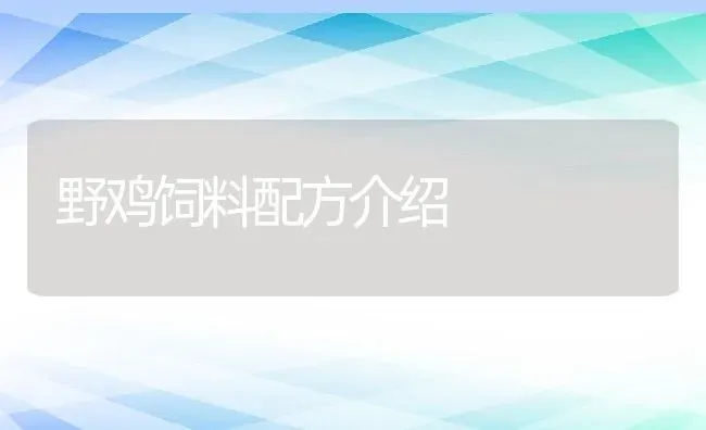 野鸡饲料配方介绍 | 动物养殖教程