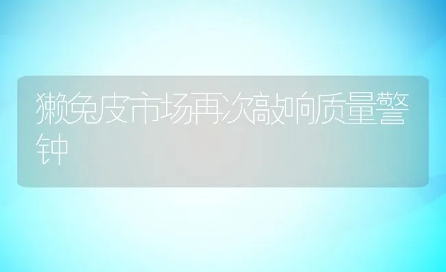 獭兔皮市场再次敲响质量警钟 | 动物养殖饲料