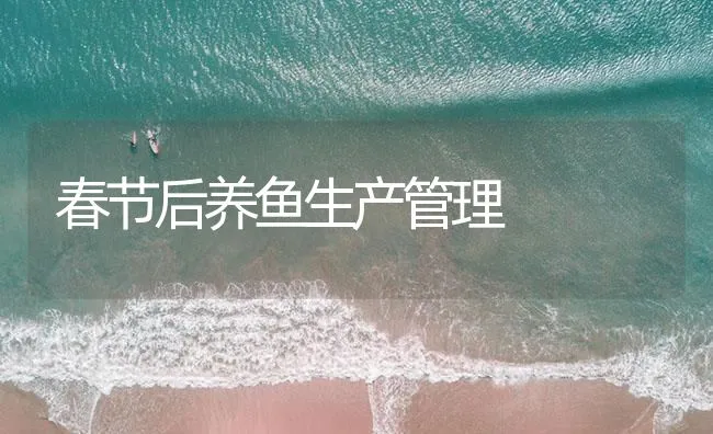 春节后养鱼生产管理 | 海水养殖技术