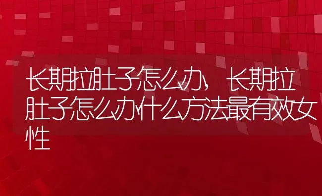 长期拉肚子怎么办,长期拉肚子怎么办什么方法最有效女性 | 宠物百科知识