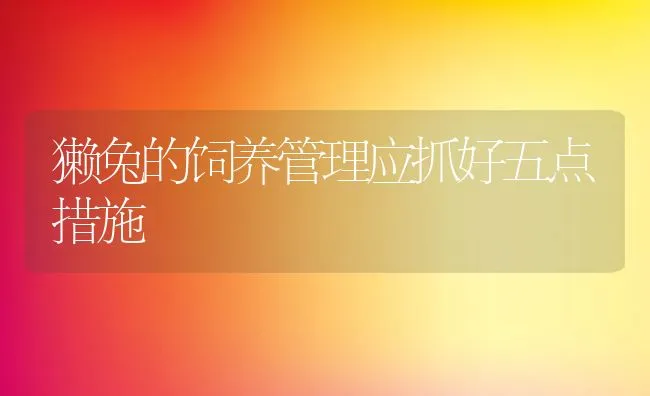 猪夏季中暑的综合防治技术 | 动物养殖学堂