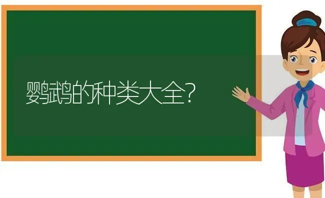 金毛跟拉布拉多历史？ | 动物养殖问答